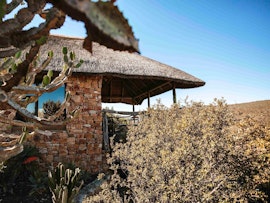 Eastern Cape Accommodation at  | Viya