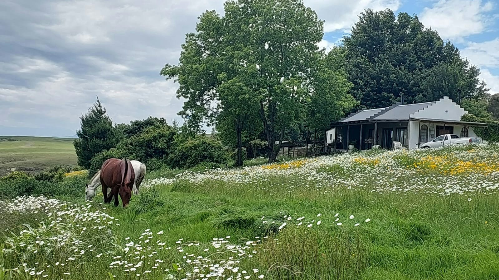 Llandaff Cottages | Reviews