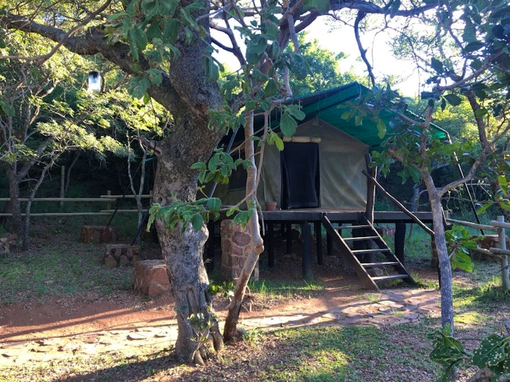 Limpopo Accommodation at Sundowner Bushcamp | Viya