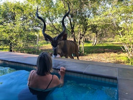 Kruger National Park South Accommodation at Kruger Willows | Viya