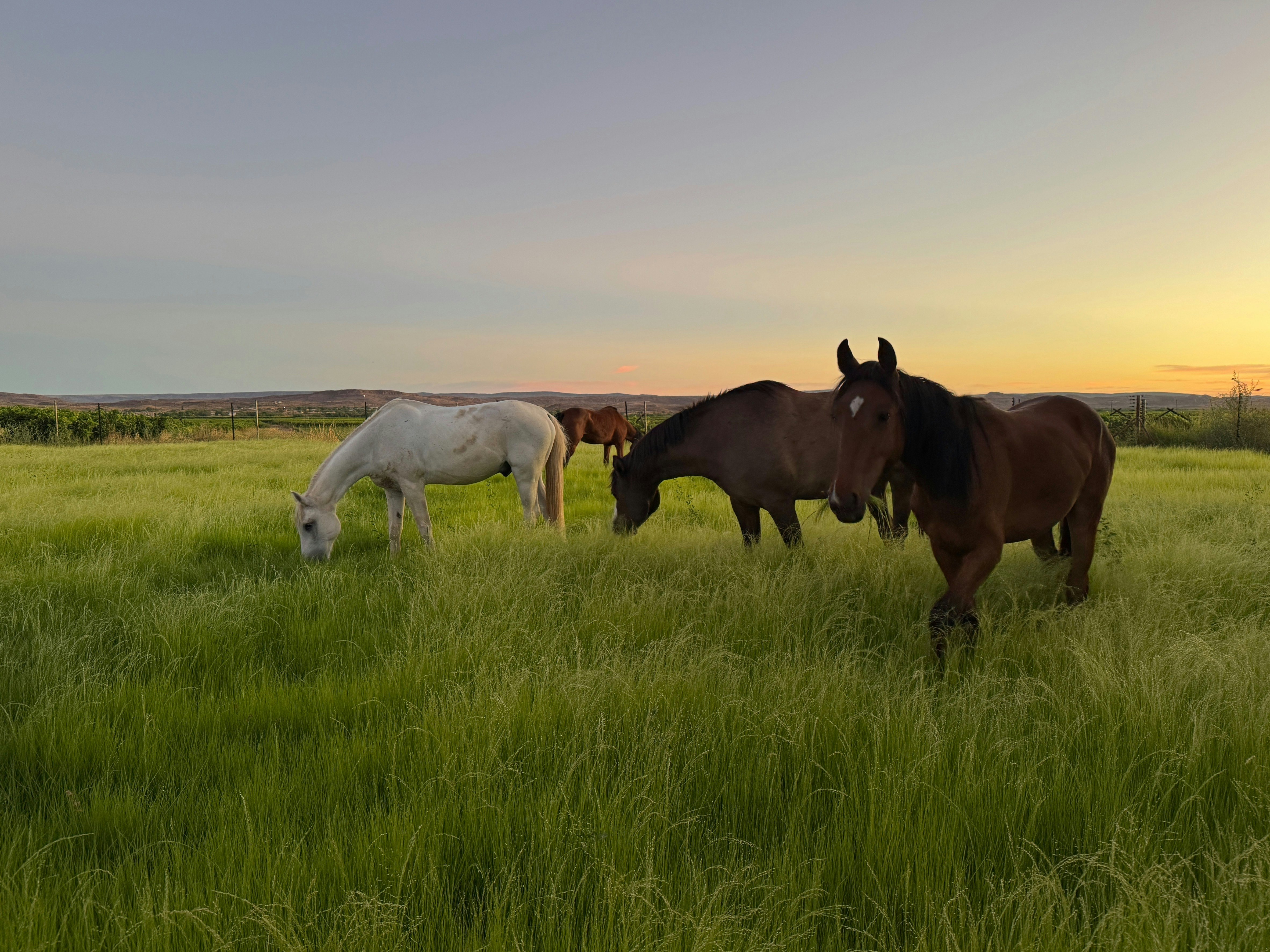 Paddock Camp Site image no 6 of 8
