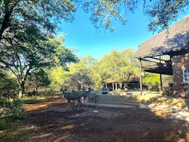 Kruger National Park South Accommodation at Rinkhals Athule House | Viya