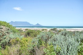 Milnerton Rural Accommodation at Dolphin Beach 210 | Viya