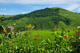 KwaZulu-Natal Accommodation at The Judge’s House @ Inversanda Farm Cottages | Viya