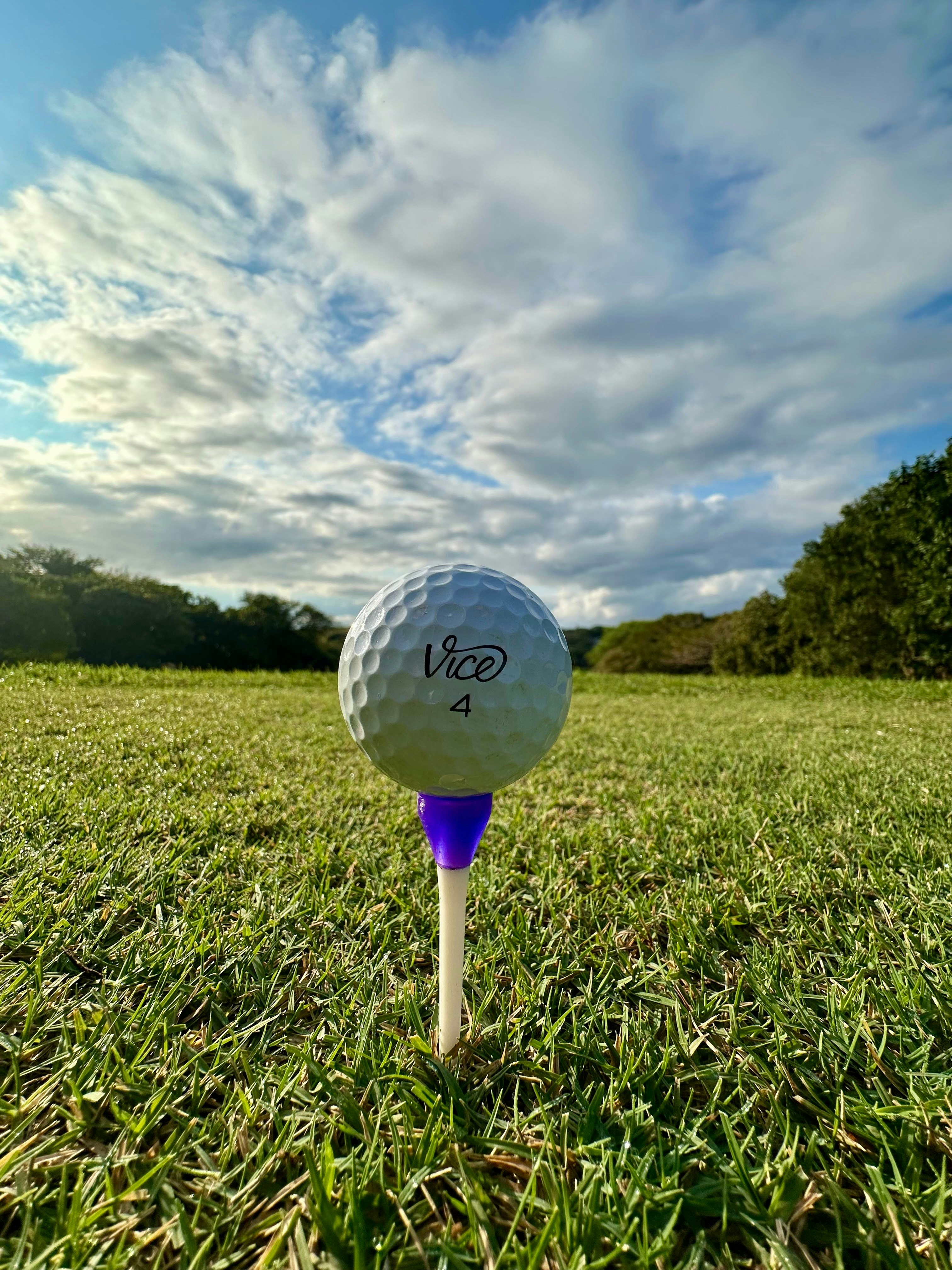 Fairway Views image no 22 of 32
