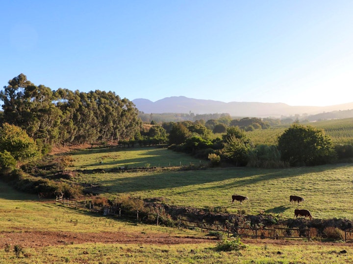 Overberg Accommodation at Golden Delicious @ Oak Lane Cottages | Viya