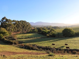 Grabouw Accommodation at Golden Delicious @ Oak Lane Cottages | Viya