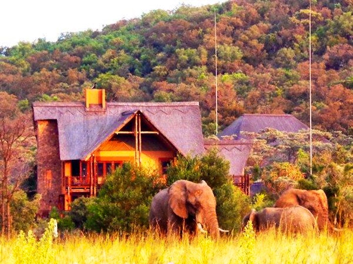 Limpopo Accommodation at Kololo Game Reserve | Viya