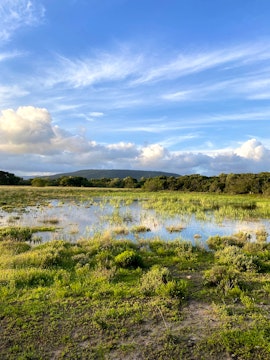 Eastern Cape Accommodation at Zoetvlei Wildlife Estate Glamping | Viya