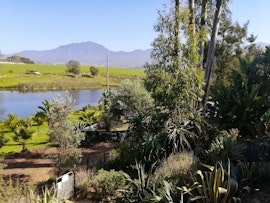 Western Cape Accommodation at Ibis Place Guest House | Viya