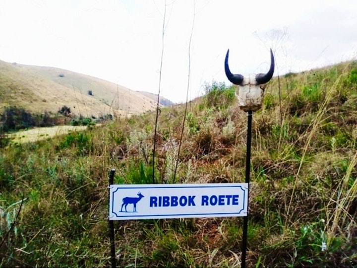 Loskop Valley Accommodation at Ribbokkloof Holiday Farm | Viya