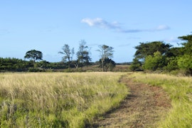 North Coast Accommodation at Hluhluwe Bush Camp | Viya