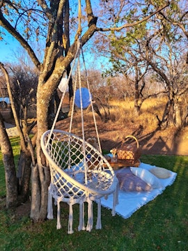 Dinokeng Game Reserve Accommodation at Cikeru Bush Camp - Zebra | Viya