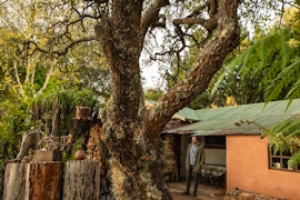 Mpumalanga Accommodation at Kaapsehoop Horse Trails - Stable House | Viya