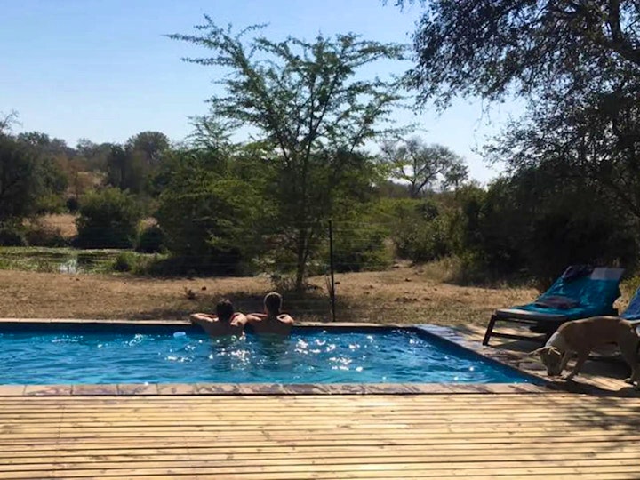 Limpopo Accommodation at Masodini Private Game Lodge | Viya