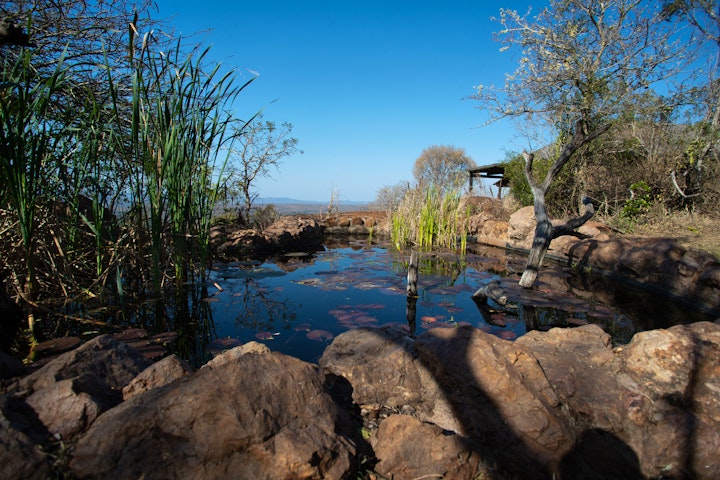 KwaZulu-Natal Accommodation at Leopard Mountain Safari Lodge | Viya