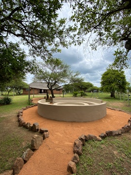 Dinokeng Game Reserve Accommodation at Ngiri Safaris | Viya