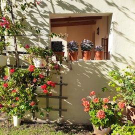 Western Cape Accommodation at  | Viya