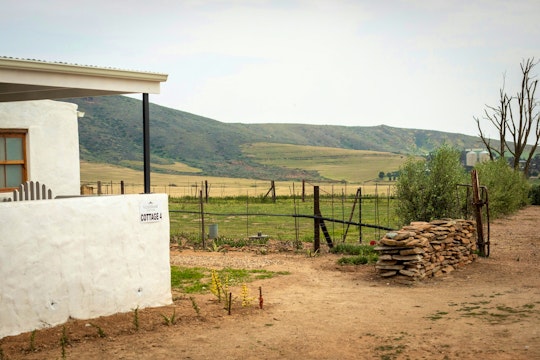 Swartland Accommodation at  | Viya