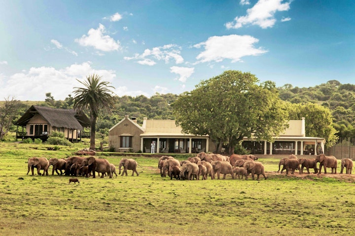 Eastern Cape Accommodation at Gorah Elephant Camp | Viya