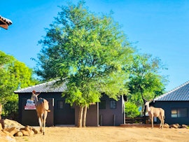 Kruger National Park South Accommodation at Royal Marlothi Kruger Safari Lodge and Spa | Viya