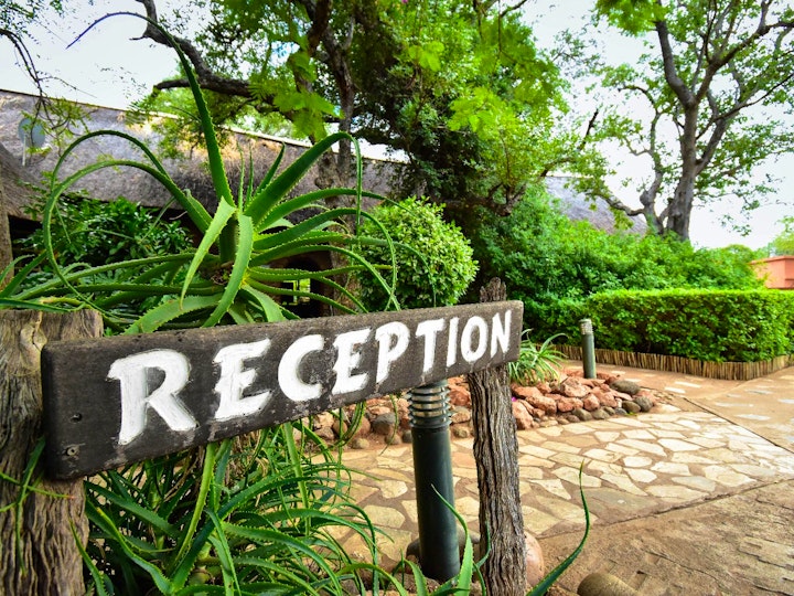 Limpopo Accommodation at Mohlabetsi Safari Lodge | Viya