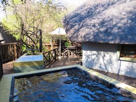 Kruger National Park South Accommodation at  | Viya