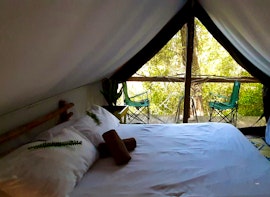 Garden Route Accommodation at  | Viya