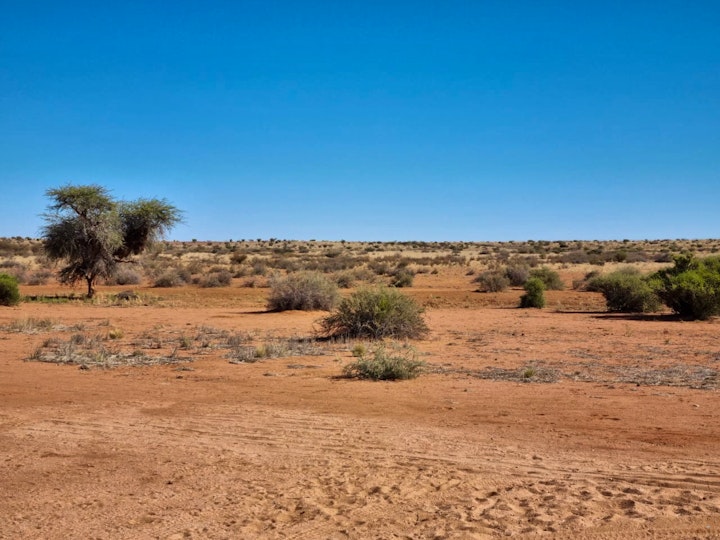 Kalahari Accommodation at Luxury Tented Chalets | Viya