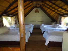 Dinokeng Game Reserve Accommodation at Jimmy's Place - Thatch Lodge | Viya