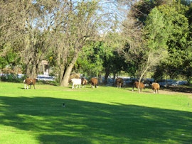 Overberg Accommodation at  | Viya