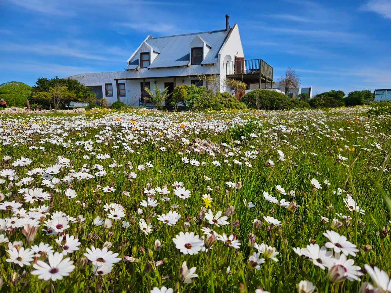 Langebaan Accommodation at  | Viya