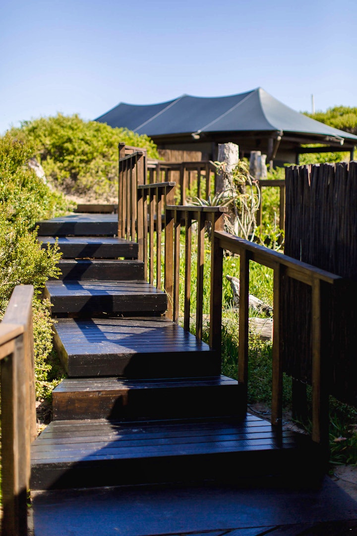 Garden Route Accommodation at Kanon Private Nature Reserve | Viya