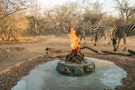 Kruger National Park South Accommodation at  | Viya