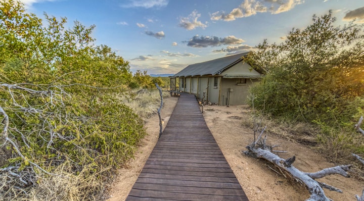 Kruger To Canyons Accommodation at Imagine Africa Luxury Tented Camp | Viya