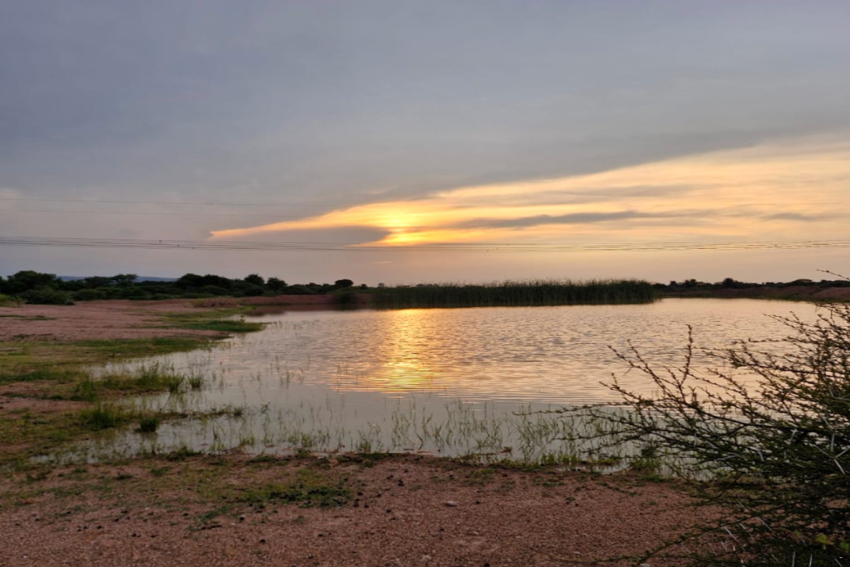 Wild Thorn Bush Lodge image no 22 of 22
