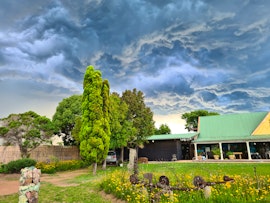 Dinokeng Game Reserve Accommodation at Its Anners | Viya