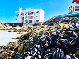 Langebaan Accommodation at Raaswater | Viya