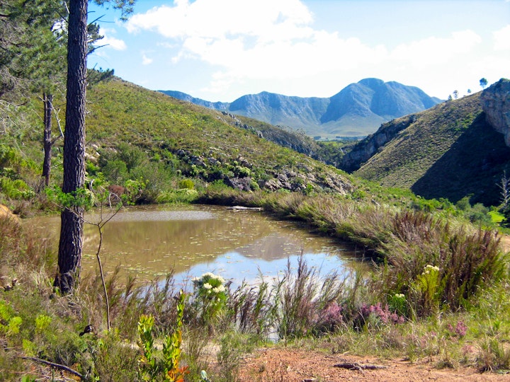 Overberg Accommodation at Volmoed | Viya