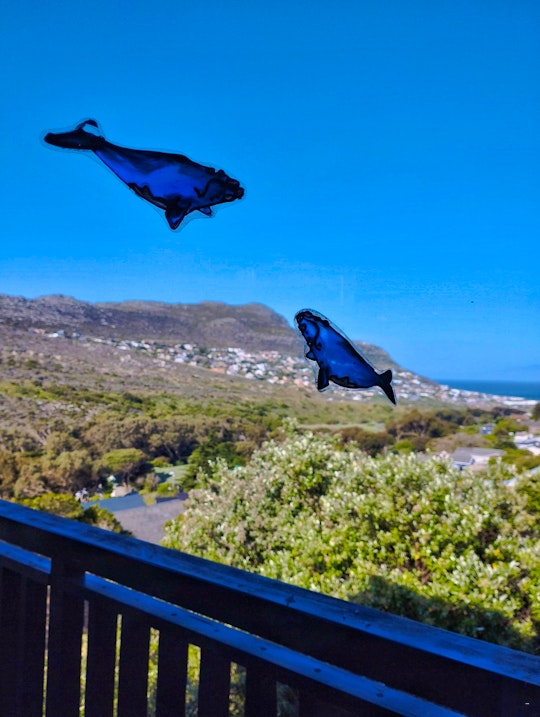 Simon's Town Accommodation at  | Viya