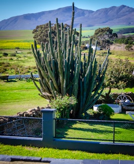 Western Cape Accommodation at Wolfkraal Farmhouse | Viya