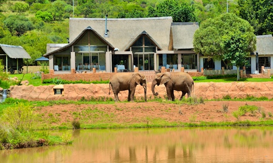 Cradle Of Humankind Accommodation at  | Viya