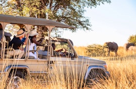 Namibia Accommodation at Namushasha River Lodge | Viya