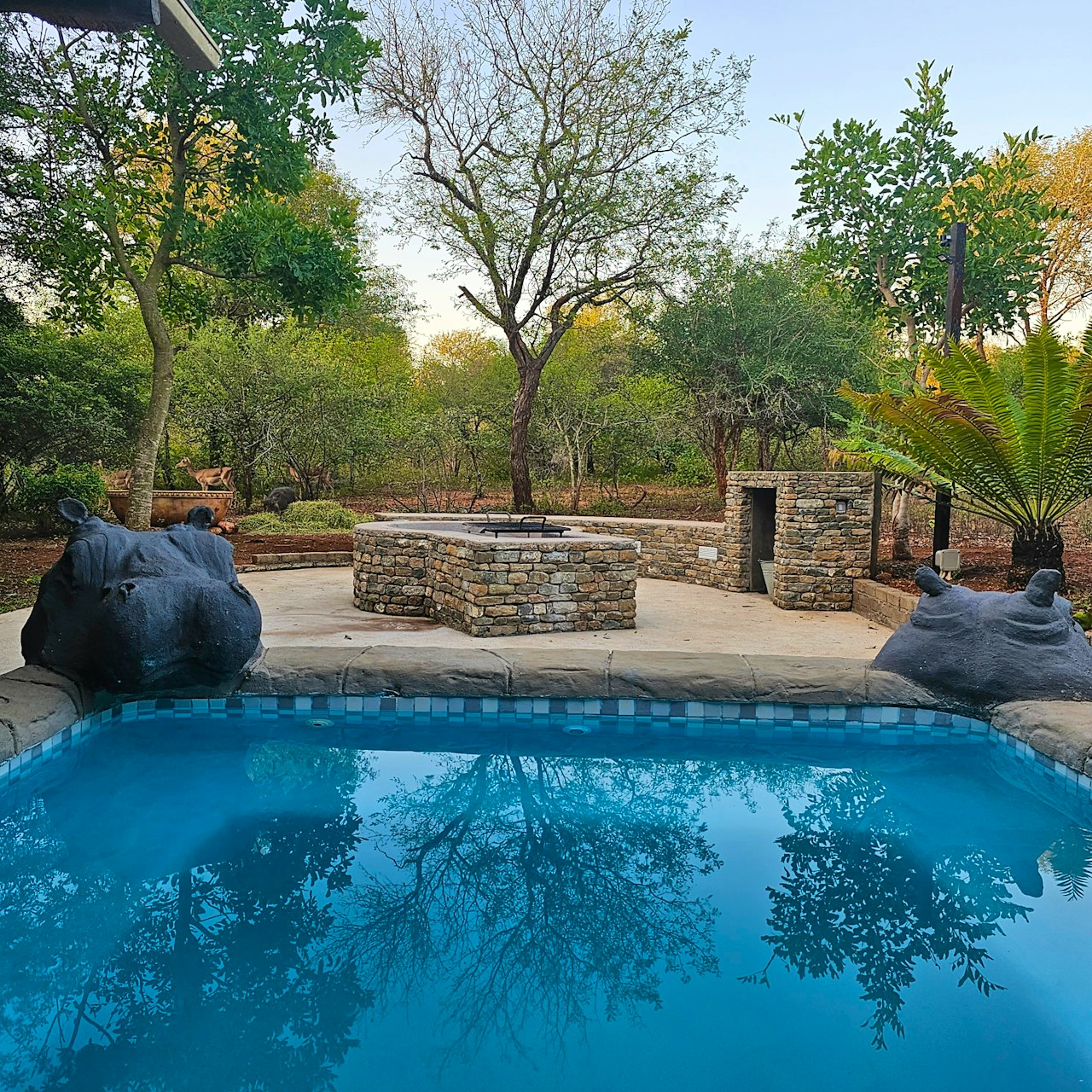 Kruger National Park South Accommodation at  | Viya