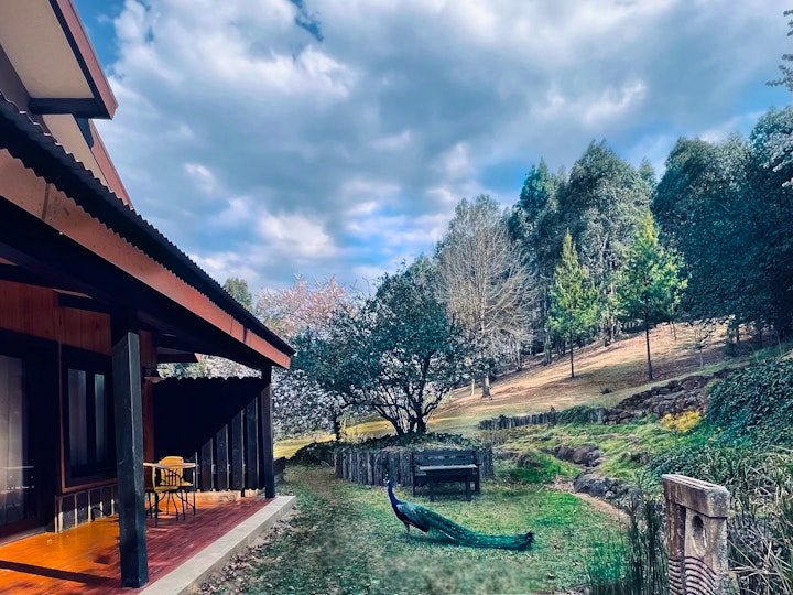 Drakensberg Accommodation at Malachite Manor | Viya