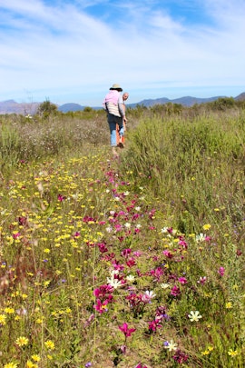 Boland Accommodation at Welbedacht Game and Nature Reserve | Viya