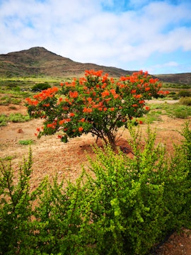 Overberg Accommodation at  | Viya