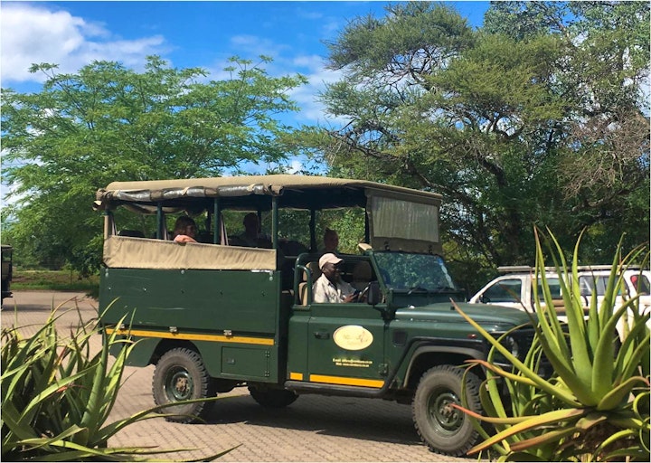 Mpumalanga Accommodation at Umoja Kruger - Wildlife Without Fences | Viya