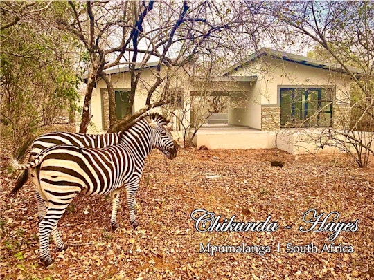 Kruger National Park South Accommodation at  | Viya