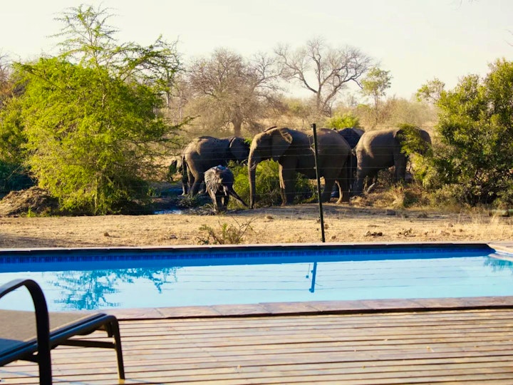 Limpopo Accommodation at Masodini Private Game Lodge | Viya